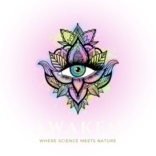 Awaken 